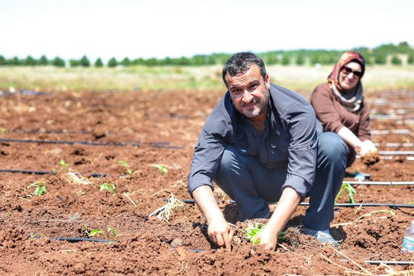 Kayapınar’da 20 dönümlük tarım komününde ekim başladı