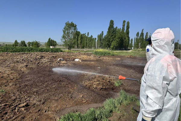 Çorum’da vektörel mücadele ve temizlik çalışması yapıldı
