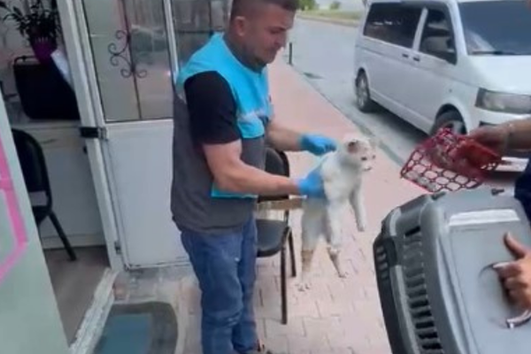 Kayseri’de havalandırma boşluğunda mahsur kalan kediye kurtarma operasyonu