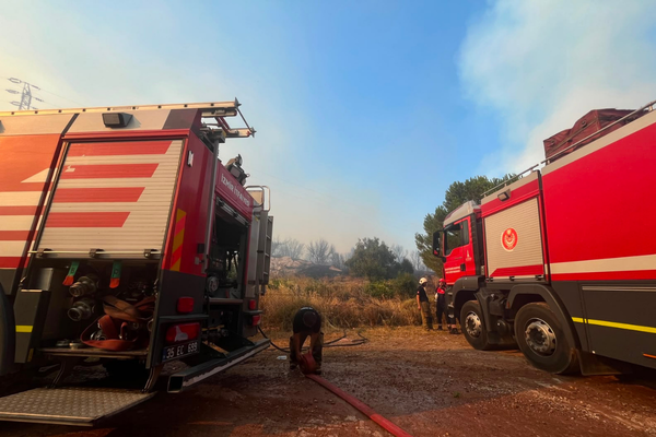 Çandarlı’daki zeytinlik yangını kontrol altına alındı