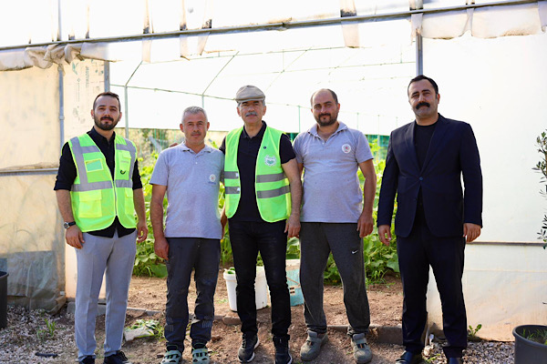 Gemlik Belediyesi’nin seralarında ilk hasat yapıldı