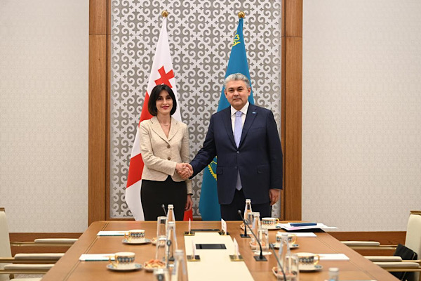 Koşerbayev, Gürcistanlı mevkidaşı Bochorishvili ile görüştü