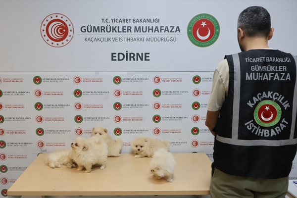 Kapıkule’de hayvan kaçakçılığı operasyonu