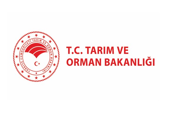 Kapıkule’de yurt dışına kaçırılmak istenen 5 yavru köpek kurtarıldı