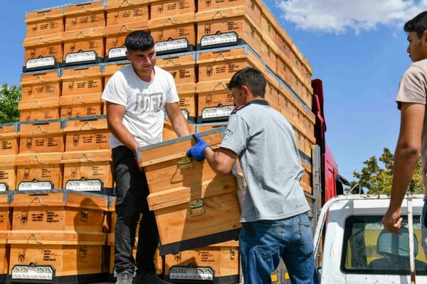 ABB’den arıcılara yüzde 50 hibeli kovan desteği