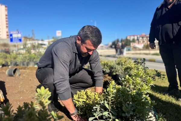 Karabük’te 18 binden fazla fidan dikildi