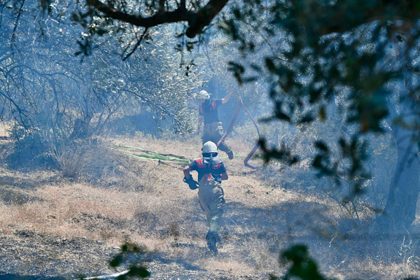 Bornova’daki orman yangını kontrol altına alındı
