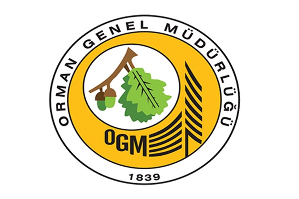 OGM: Muğla’nın Menteşe ilçesinde orman yangınına havadan ve karadan müdahale