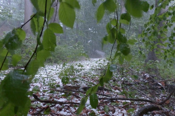 Meteoroloji’den kuvvetli yağış ve rüzgar uyarısı
