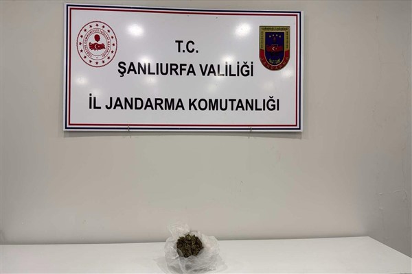 Şanlıurfa’da 100 gram esrar ele geçirildi