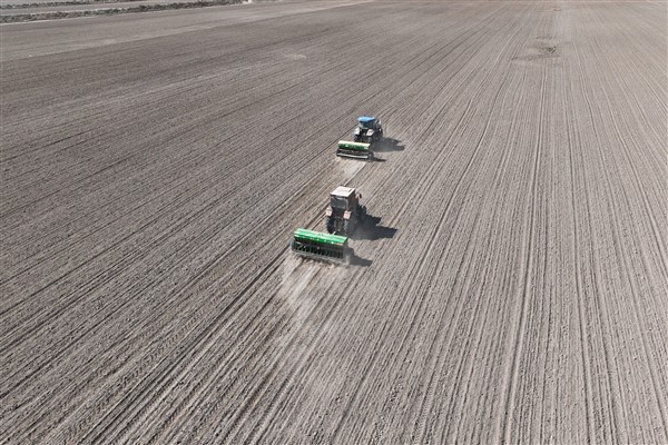 TÜİK: Tarım-GFE Mayıs’ta yıllık yüzde 36,65 arttı