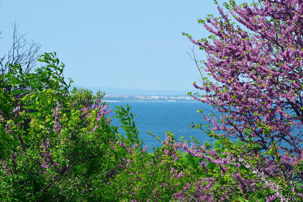 Burgaz Open Fest 2026  11-12 Temmuz’da flora parkı’nda düzenlenecek