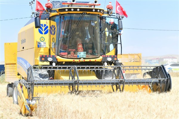 Van’da buğday hasat sezonu başladı