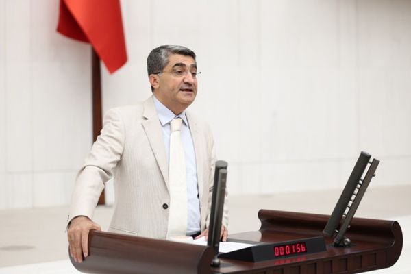 Ekmen: Kadına güvenliği mafya değil devlet sağlamalı