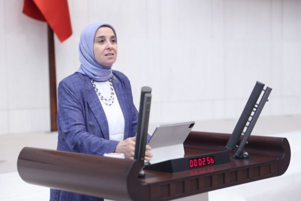DEVA Partili Esen: Türkiye’nin nüfus krizi bir güven krizidir