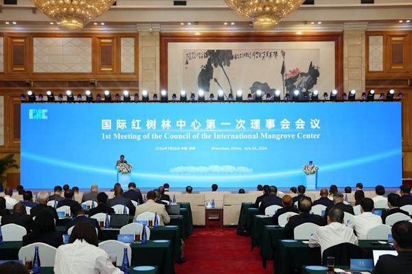 Uluslararası Mangrov Merkezi Shenzhen’de faaliyete geçti