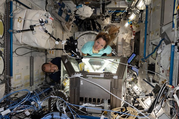 NASA: Williams’ın uzay görevi kanser tedavisi araştırmalarına katkı sağladı