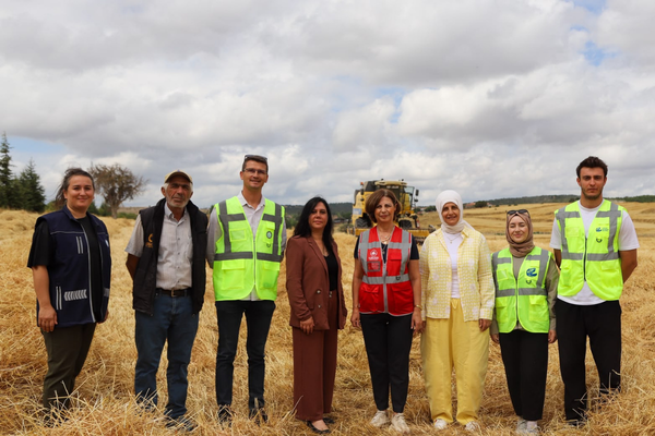Eskişehir’de ata tohumu Kavılca buğdayında bereketli hasat: 73 dekardan 17 ton ürün