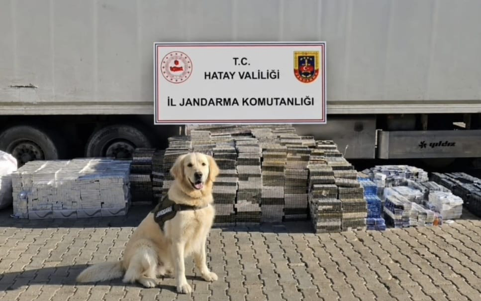 Kırıkhan’da kaçakçılık operasyonu