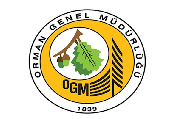 OGM: Muğla’da yangından zarar gören alanlar yeniden yeşertildi