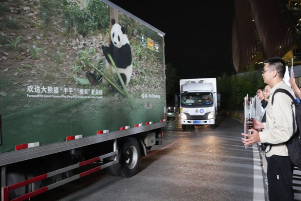 İki dev panda Çin’den ABD’ye yola çıktı
