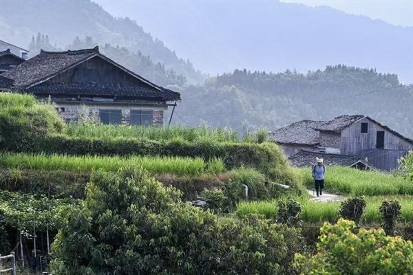 Kentli turistler ilçeleri tercih ederken çiftçiler kentlere akın ediyor