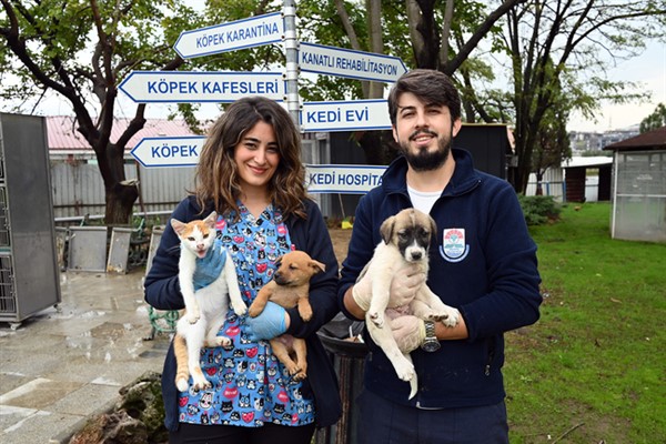 Yalova Belediyesi sahipsiz hayvanların bakım ve tedavilerini sürdürüyor
